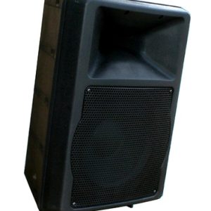 S05880-00 - Altifalante PA de 12 polegadas, EN 54-24, com suporte de parede certificado contra impacto de bola, preto